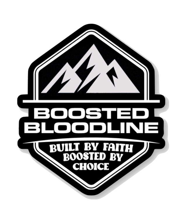 Die Cut Sticker 4 Pack